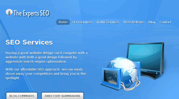 theexpertsseo.com