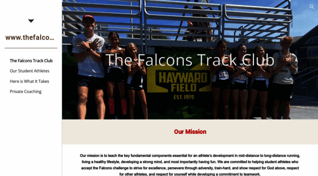 thefalconsytc.com