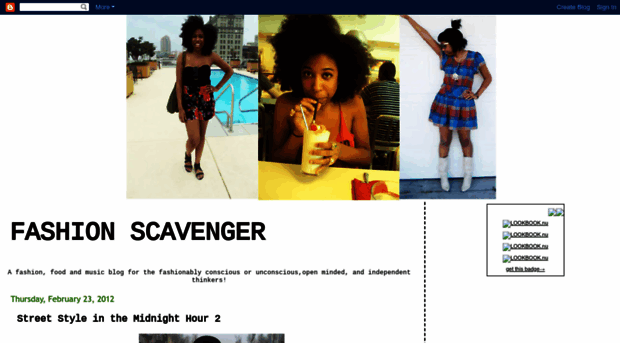 thefashionscavenger.blogspot.com