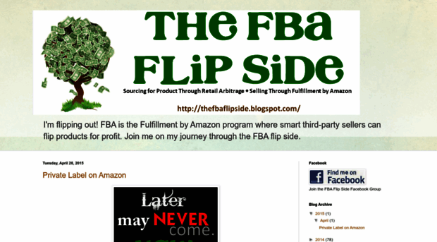 thefbaflipside.blogspot.com