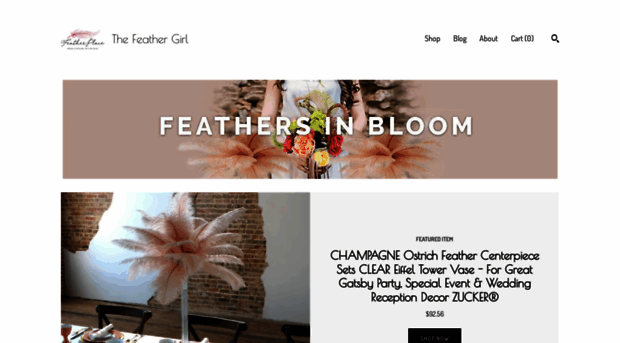 thefeathergirl.com