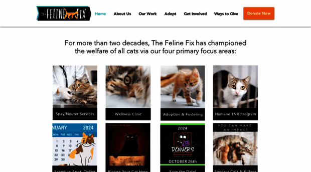 thefelinefix.org