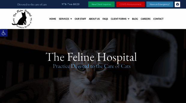 thefelinehospital.com