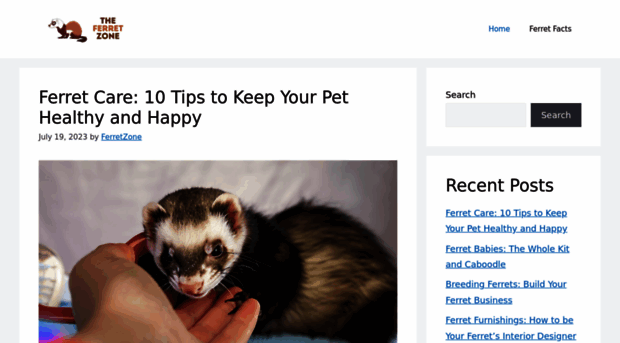 theferretzone.com