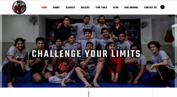 thefighthub.in