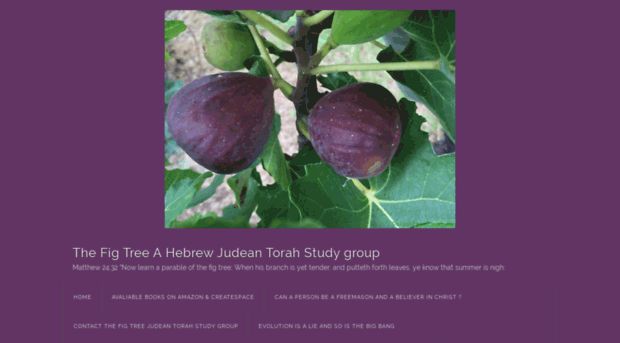 thefigtreeahebrewyisraelitetorahstudygroup.wordpress.com