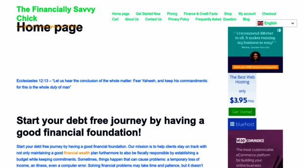 thefinanciallysavvychick.com