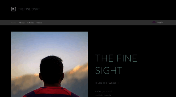 thefinesight.com