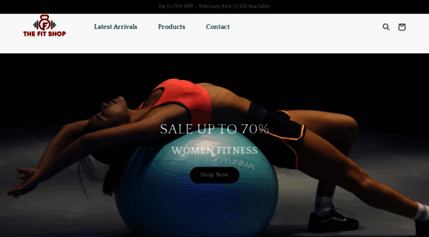 thefitshop.in