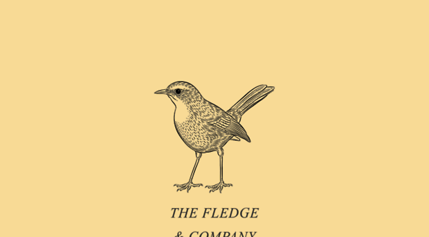 thefledge.co.za