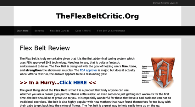 theflexbeltcritic.org