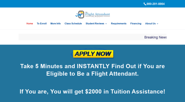 theflightattendantacademy.com