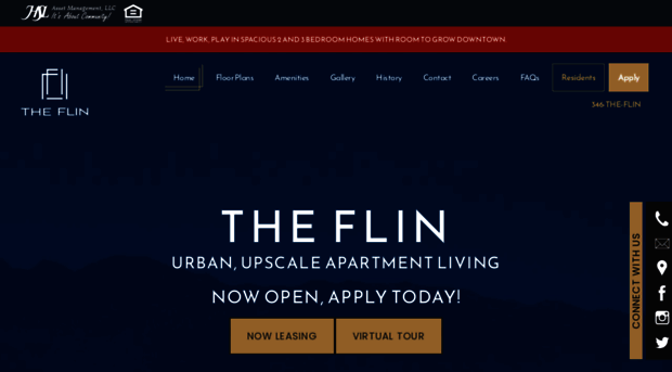 theflin.com