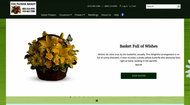 theflowerbasketltd.com