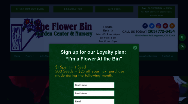 theflowerbin.net