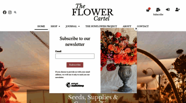 theflowercartel.co.za