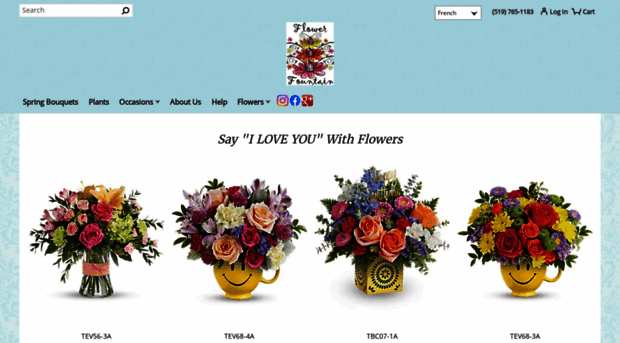 theflowerfountain.com