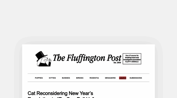 thefluffingtonpost.com