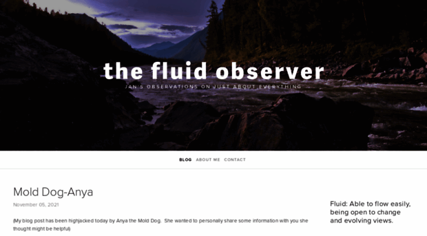 thefluidobserver.com