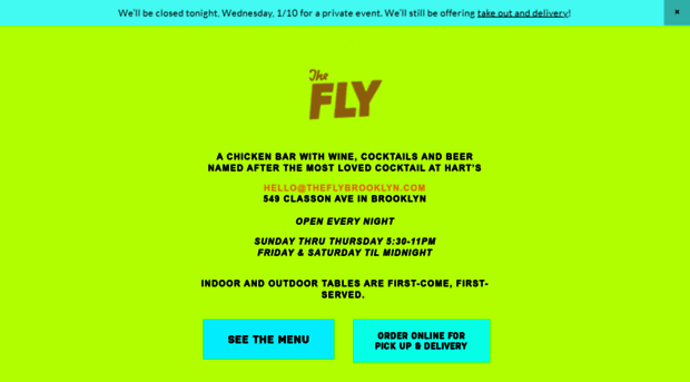 theflybrooklyn.com