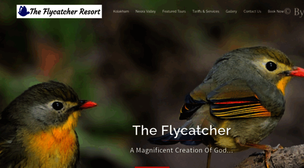 theflycatcherresort.com