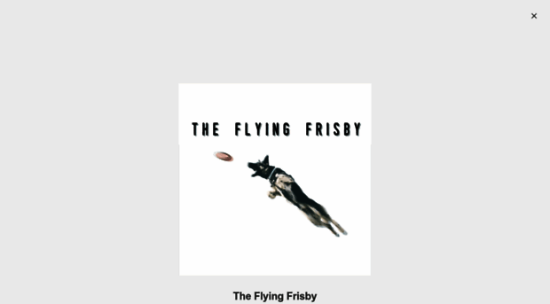 theflyingfrisby.com