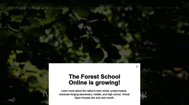 theforest.school