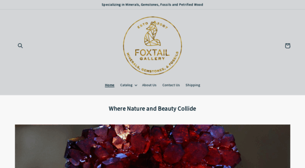 thefoxtailgallery.com