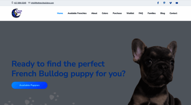 thefrenchbulldog.com