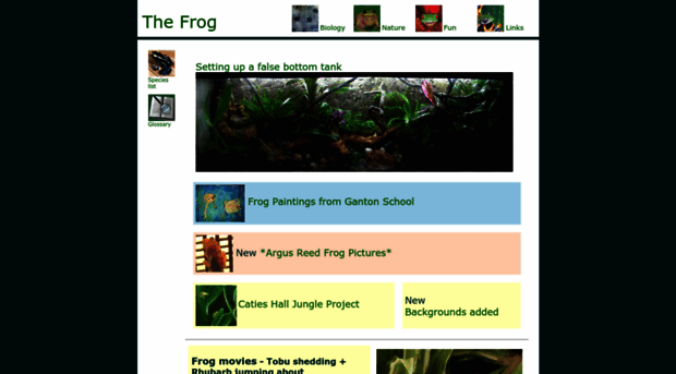 thefrog.org