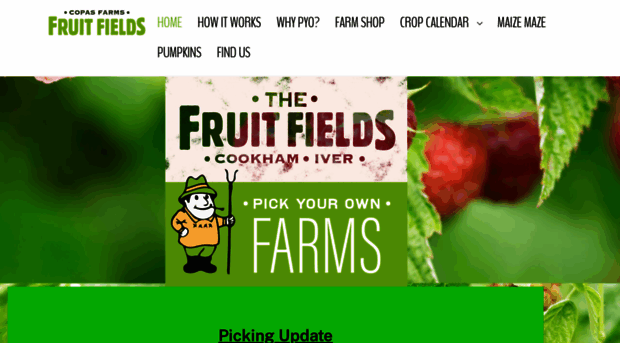 thefruitfields.co.uk