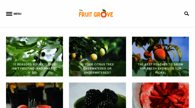 thefruitgrove.com