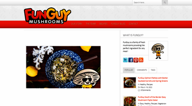 thefunguymushrooms.com