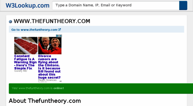 thefuntheory.com.w3lookup.net