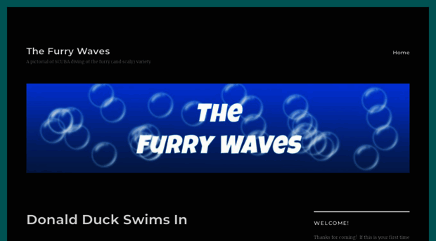 thefurrywaves.wordpress.com