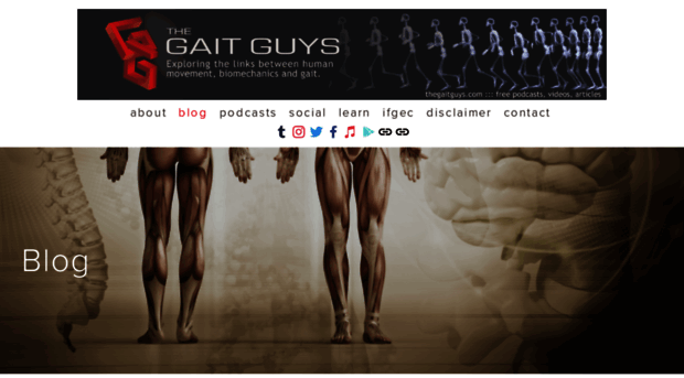 thegaitguys.com