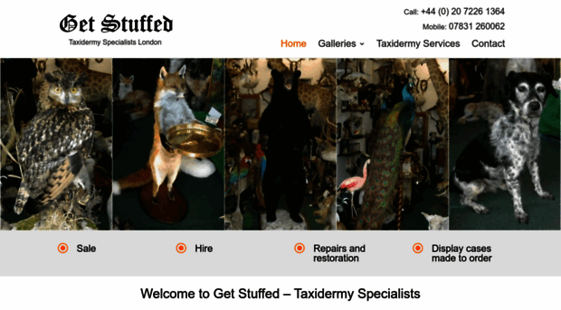 thegetstuffed.co.uk