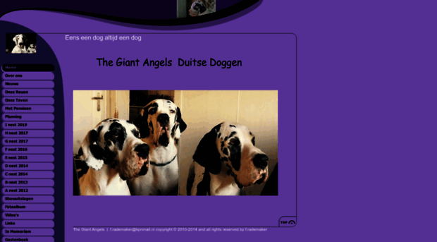 thegiantangels.nl