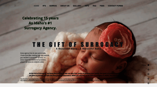 thegiftofsurrogacy.com