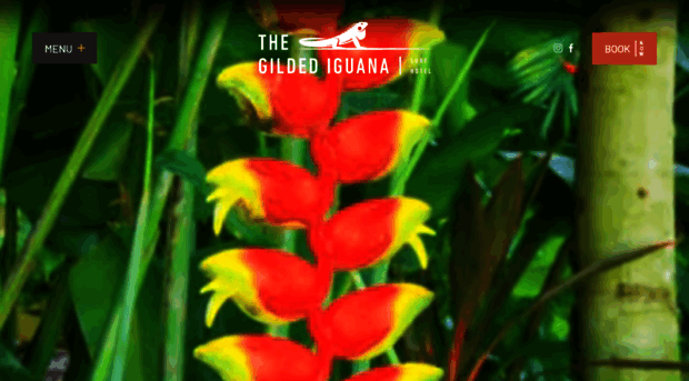 thegildediguana.com