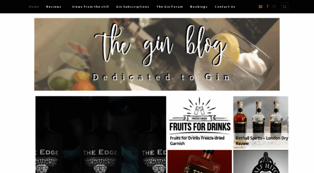 thegin.blog