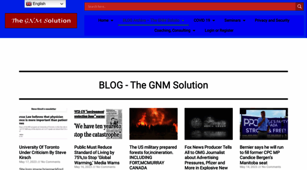 thegnmsolution.com