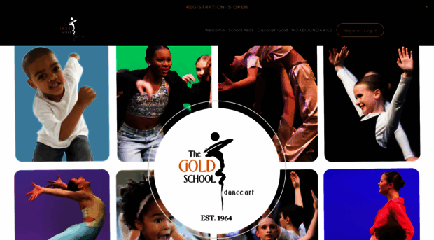 thegoldschool.com