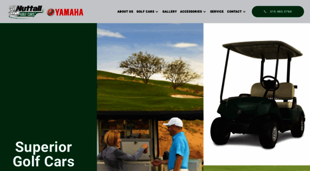 thegolfcartstore.com