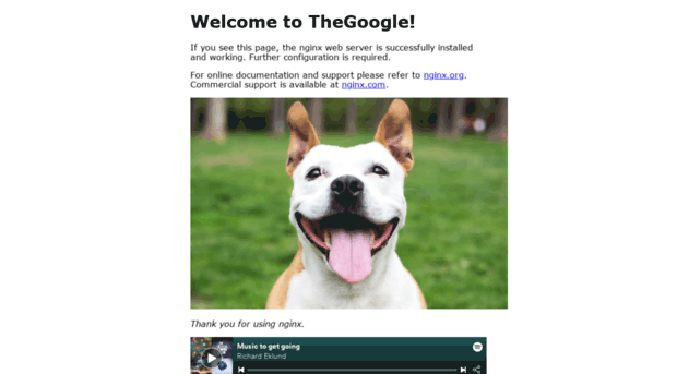 thegoogle.co.uk