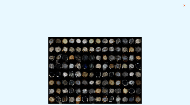 thegrandseikoguy.com