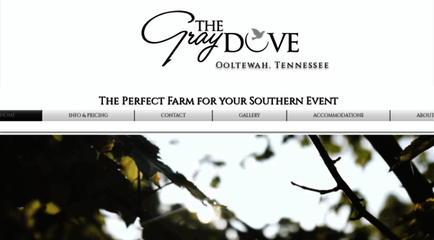 thegraydove.com