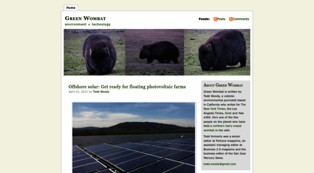 thegreenwombat.com