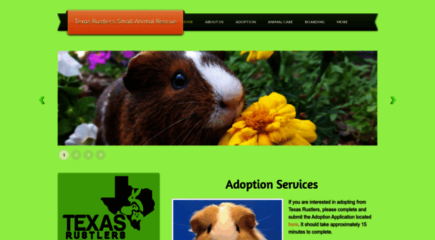 theguineapigrescue.com