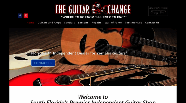 theguitarexchange.com